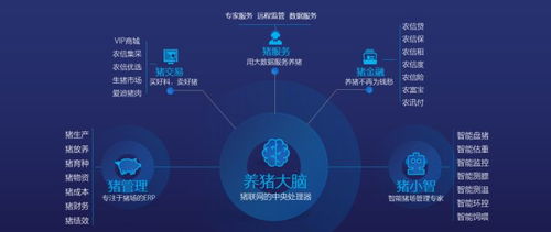 數據驅動未來 市場調查在產業發展與企業根基構建中的核心價值